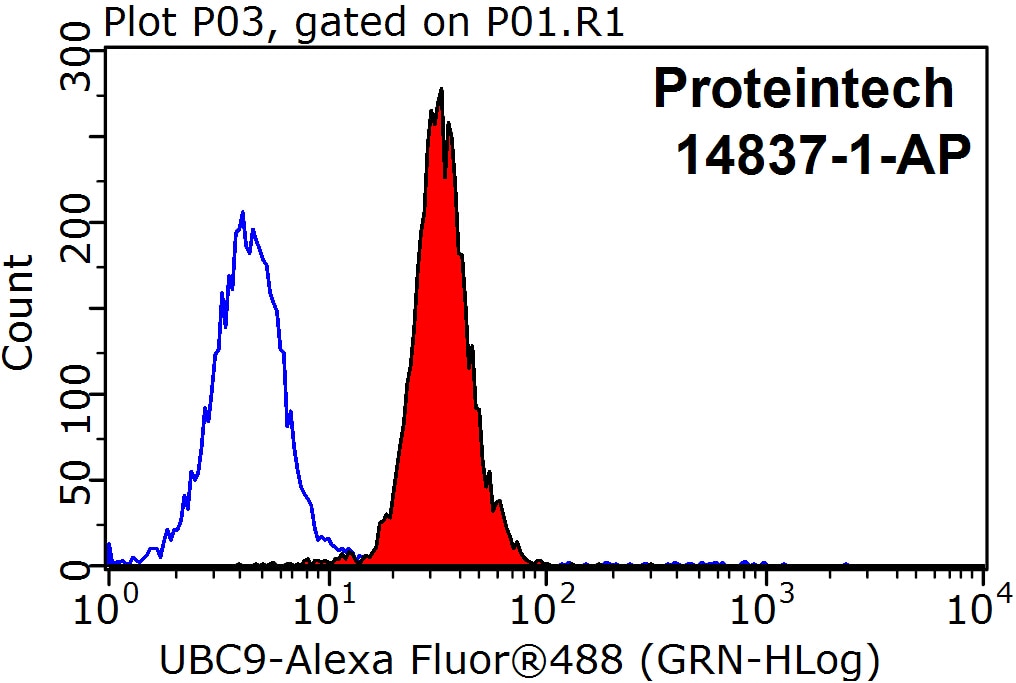 Flow cytometry (FC) experiment of HepG2 cells using UBC9-Specific Polyclonal antibody (14837-1-AP)