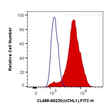 Flow cytometry (FC) experiment of Y79 cells using CoraLite® Plus 488-conjugated UCHL1/PGP9.5 Monoclo (CL488-66230)