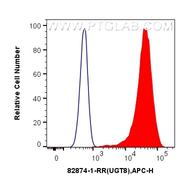 Flow cytometry (FC) experiment of HeLa cells using UGT8 Recombinant antibody (82874-1-RR)