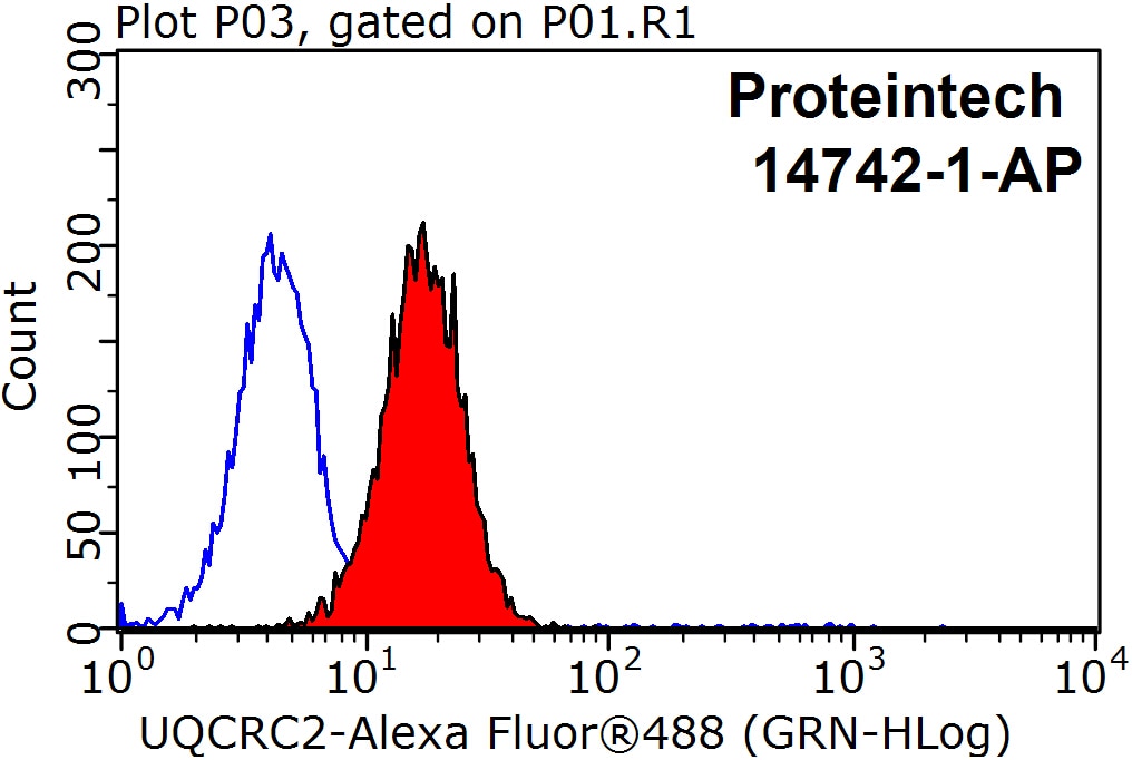 Flow cytometry (FC) experiment of HepG2 cells using UQCRC2 Polyclonal antibody (14742-1-AP)