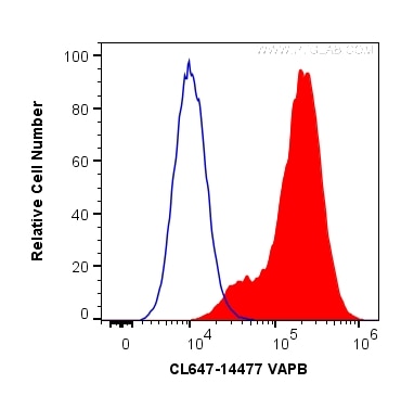 Flow cytometry (FC) experiment of HeLa cells using CoraLite® Plus 647-conjugated VAPB Polyclonal anti (CL647-14477)