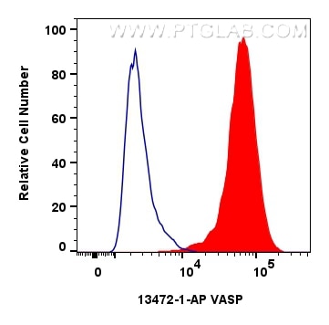 Flow cytometry (FC) experiment of HepG2 cells using VASP Polyclonal antibody (13472-1-AP)