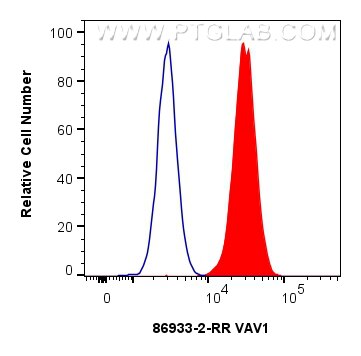 Flow cytometry (FC) experiment of Jurkat cells using VAV1 Recombinant monoclonal antibody (86933-2-RR)