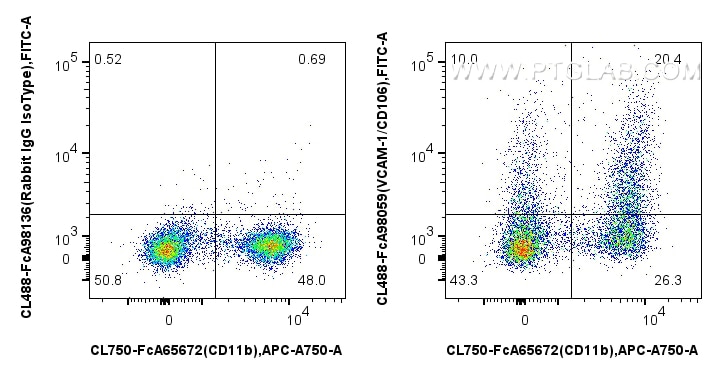 FC experiment of mouse bone marrow cells using CL488-FcA98059 Flow cytometry (FC) experiment of mouse bone marrow cells using FcZero-rAb® CoraLite® Plus 488 Anti-Mouse VCAM-1/C (CL488-FcA98059)