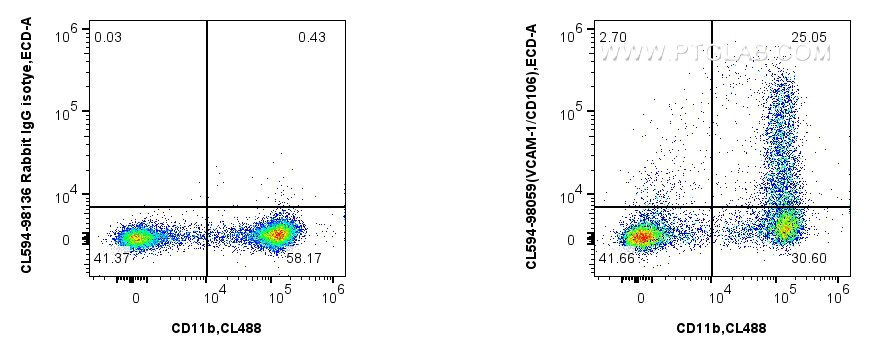 1x10^6 mouse bone marrow cells were surface stained with CoraLite® Plus 750 Anti-Mouse CD11b, and 0.25 ug CoraLite®594 Anti-Mouse VCAM-1/CD106 Rabbit RecAb (CL594-98059, Clone: 240597C2) or CoraLite®594 Rabbit IgG Isotype Control RecAb (CL594-98136, Clone: 240953C9). Cells were not fixed. Flow cytometry (FC) experiment of mouse bone marrow cells using CoraLite®594 Anti-Mouse VCAM-1/CD106 Rabbit Recomb (CL594-98059)