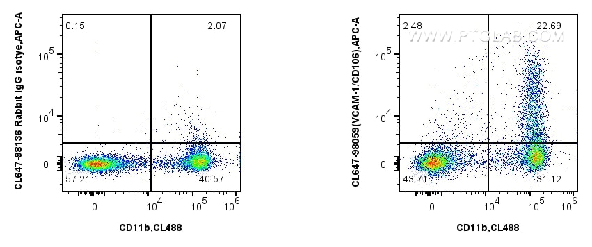 1x10^6 mouse bone marrow cells were surface stained with CoraLite® Plus 750 Anti-Mouse CD11b, and 0.25 ug CoraLite®647 Anti-Mouse VCAM-1/CD106 Rabbit RecAb (CL647-98059, Clone: 240597C2) or CoraLite®594 Rabbit IgG Isotype Control RecAb (CL647-98136, Clone: 240953C9). Cells were not fixed. Flow cytometry (FC) experiment of mouse bone marrow cells using CoraLite® Plus 647 Anti-Mouse VCAM-1/CD106 Rabbit (CL647-98059)