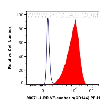 Flow cytometry (FC) experiment of HUVEC cells using Anti-Human VE-cadherin/CD144 Rabbit Recombinant An (98071-1-RR)
