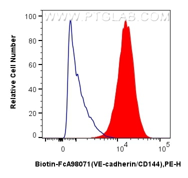 1x10^6 HUVEC cells were surface stained with 5 ul Biotin Anti-Human VE-cadherin/CD144 Rabbit RecAb (Biotin-FcA98071, Clone:240755B2) (red), or FcZero-rAb™ Biotin Rabbit IgG Isotype Control Recombinant Antibody (Biotin-FcA98136, Clone: 240953C9) (blue) and Streptavidin-PE Conjugate (PE-PF00030). Cells were not fixed. Flow cytometry (FC) experiment of HUVEC cells using FcZero-rAb™ Biotin Anti-Human VE-cadherin/CD144 Ra (Biotin-FcA98071)