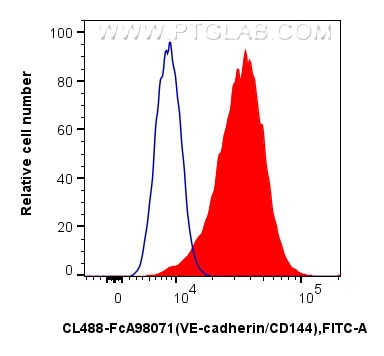 FC experiment of HUVEC using CL488-FcA98071 Flow cytometry (FC) experiment of HUVEC cells using FcZero-rAb® CoraLite® Plus 488 Anti-Human VE-cadhe (CL488-FcA98071)