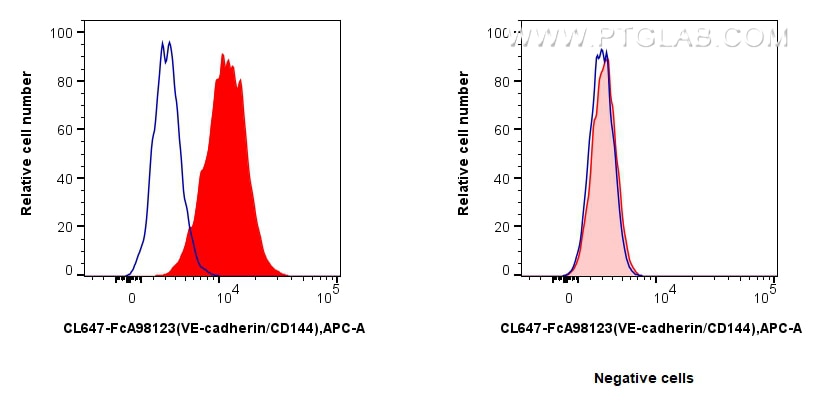 FC experiment of bEnd.3 using CL647-FcA98251 Flow cytometry (FC) experiment of bEnd.3 cells using FcZero-rAb® CoraLite® Plus 647 Anti-Mouse VE-cadhe (CL647-FcA98251)