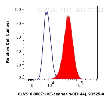 Flow cytometry (FC) experiment of HUVEC cells using CoraLux Violet 510 Anti-Human VE-cadherin/CD144 Ra (CLV510-98071)