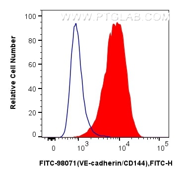 Flow cytometry (FC) experiment of HUVEC cells using FITC Plus Anti-Human VE-cadherin/CD144 Rabbit Reco (FITC-98071)