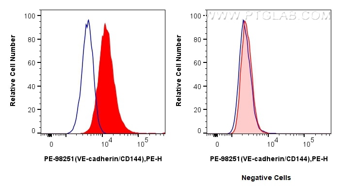Flow cytometry (FC) experiment of bEnd.3 cells using PE Anti-Mouse VE-cadherin/CD144 Rabbit Recombinant (PE-98251)