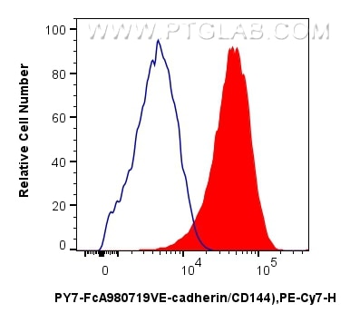 Flow cytometry (FC) experiment of HUVEC cells using FcZero-rAb® PE-Cyanine7 Anti-Human VE-cadherin/CD1 (PY7-FcA98071)