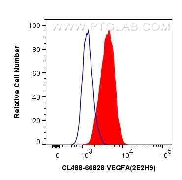 FC experiment of MCF-7 using CL488-66828