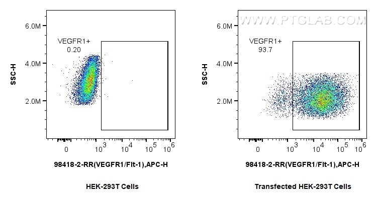 Flow cytometry (FC) experiment of Transfected HEK-293T cells using Anti-Rat VEGFR1/Flt-1 Rabbit Recombinant Antibody (98418-2-RR)