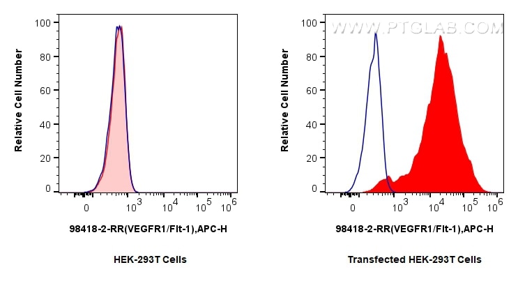 Flow cytometry (FC) experiment of Transfected HEK-293T cells using Anti-Rat VEGFR1/Flt-1 Rabbit Recombinant Antibody (98418-2-RR)