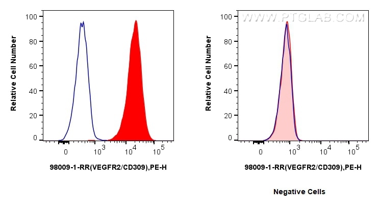Flow cytometry (FC) experiment of HUVEC cells using Anti-Human VEGFR2/CD309 Rabbit Recombinant Antibod (98009-1-RR)