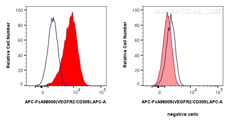 VEGFR2/CD309