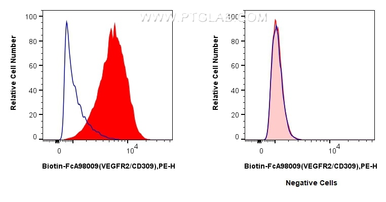 Flow cytometry (FC) experiment of HUVEC cells using FcZero-rAb® Biotin Anti-Human VEGFR2/CD309 Rabbit  (Biotin-FcA98009)