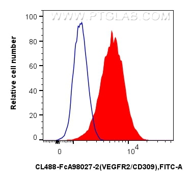 FC experiment of bEnd.3 using CL488-FcA98027-2 Flow cytometry (FC) experiment of bEnd.3 cells using FcZero-rAb® CoraLite® Plus 488 Anti-Mouse VEGFR2/C (CL488-FcA98027-2)