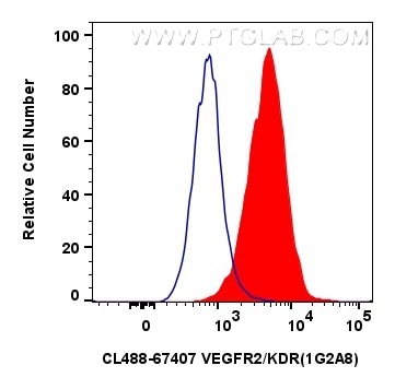 Flow cytometry (FC) experiment of HUVEC cells using CoraLite® Plus 488-conjugated VEGFR2/KDR Monoclona (CL488-67407)