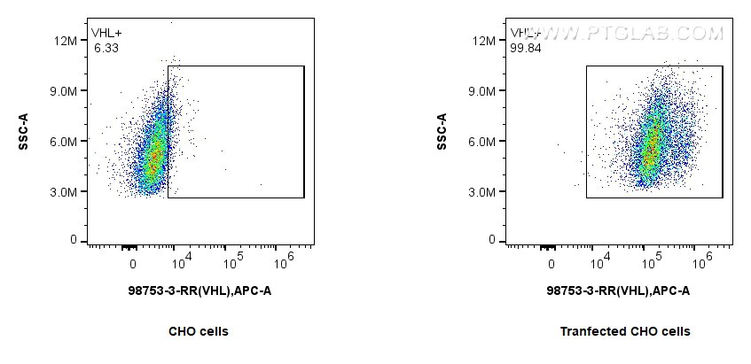 Flow cytometry (FC) experiment of Transfected CHO using Anti-Human VHL Rabbit Recombinant Antibody (98753-3-RR)
