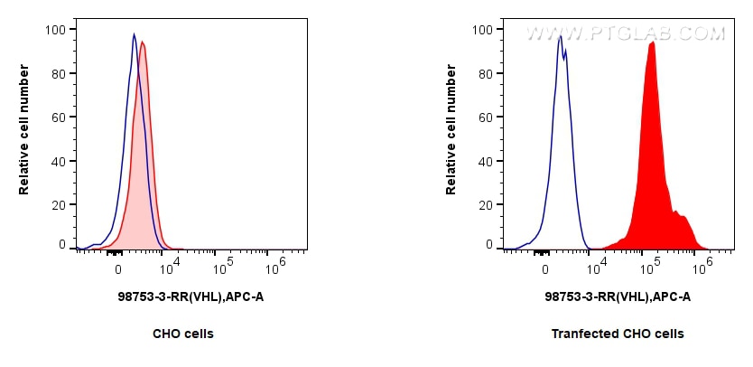 Flow cytometry (FC) experiment of Transfected CHO using Anti-Human VHL Rabbit Recombinant Antibody (98753-3-RR)