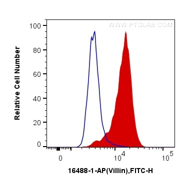 Flow cytometry (FC) experiment of HepG2 cells using Villin Polyclonal antibody (16488-1-AP)