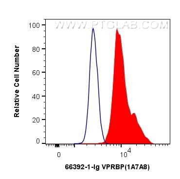 FC experiment of K-562 using 66392-1-Ig