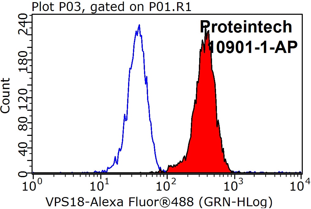 Flow cytometry (FC) experiment of K-562 cells using VPS18 Polyclonal antibody (10901-1-AP)