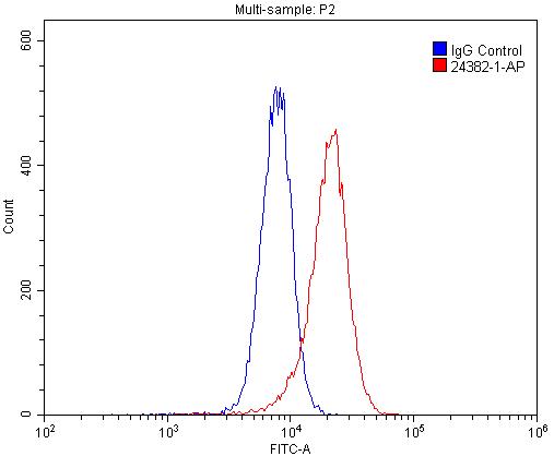 Flow cytometry (FC) experiment of HL-60 cells using VSTM1 Polyclonal antibody (24382-1-AP)
