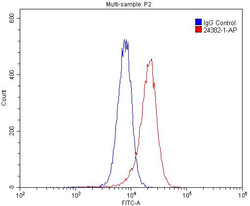 FC experiment of HL-60 using 24382-1-AP