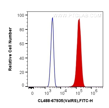 Flow cytometry (FC) experiment of HeLa cells using CoraLite® Plus 488-conjugated ValRS Monoclonal ant (CL488-67935)