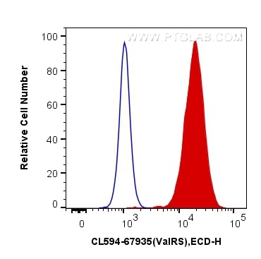 Flow cytometry (FC) experiment of HeLa cells using CoraLite®594-conjugated ValRS Monoclonal antibody (CL594-67935)