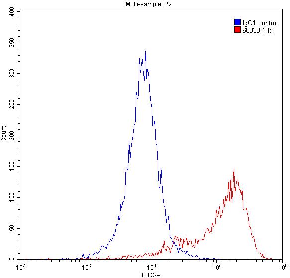 Flow cytometry (FC) experiment of Jurkat cells using Vimentin Monoclonal antibody (60330-1-Ig)