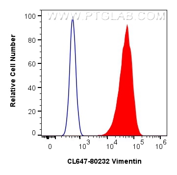 Flow cytometry (FC) experiment of HeLa cells using CoraLite® Plus 647-conjugated Vimentin Recombinant (CL647-80232)