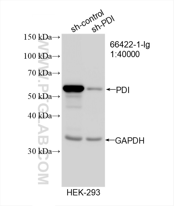 Validation data Validation data