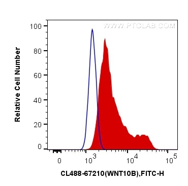 Flow cytometry (FC) experiment of HeLa cells using CoraLite® Plus 488-conjugated WNT10B Monoclonal an (CL488-67210)