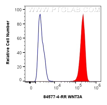 Flow cytometry (FC) experiment of HeLa cells using WNT3A Recombinant antibody (84577-4-RR)