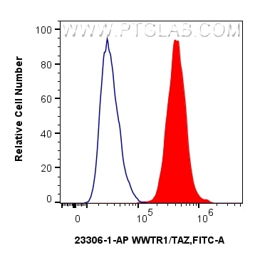 Flow cytometry (FC) experiment of HeLa cells using WWTR1/TAZ Polyclonal antibody (23306-1-AP)