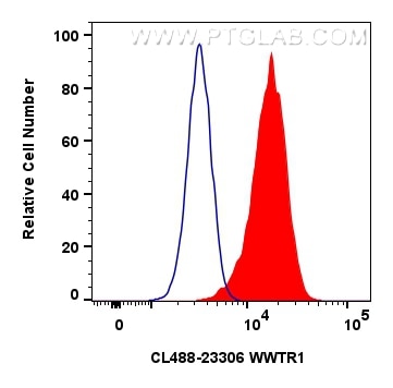 Flow cytometry (FC) experiment of HeLa cells using CoraLite® Plus 488-conjugated WWTR1 Polyclonal ant (CL488-23306)