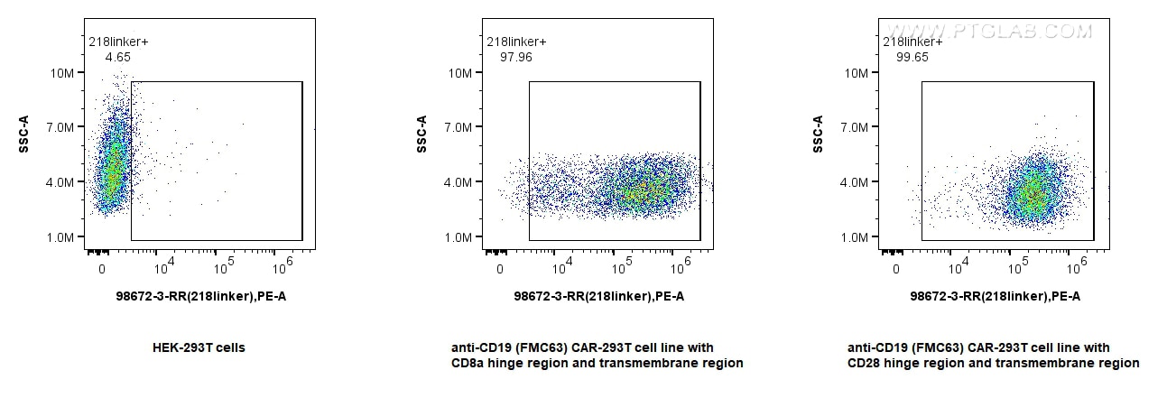 Flow cytometry (FC) experiment of Transfected HEK-293T cells using Anti-Whitlow/218 Linker Rabbit Recombinant Antibod (98672-3-RR)
