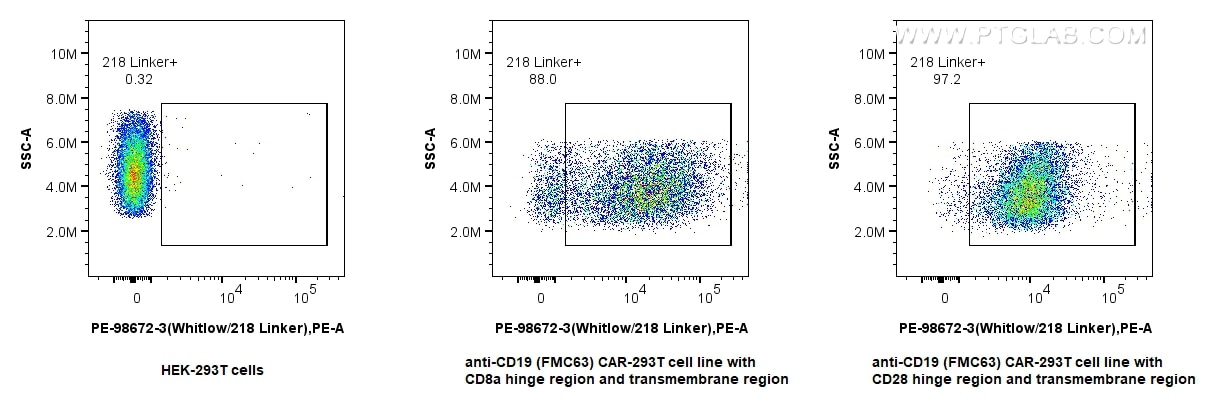 1x10^6 HEK-293T cells or anti-CD19 (FMC63) CAR with CD28 or CD8a hinge region and transmembrane region transfected HEK-293T cells were surface stained with 0.1 ug PE Anti-Whitlow/218 Linker Rabbit RecAb (PE-98672-3, Clone: 252007G1) or PE Rabbit IgG Isotype Control RecAb (PE-98136, Clone: 240953C9). Cells were not fixed. Flow cytometry (FC) experiment of Transfected HEK-293T cells using PE Anti-Whitlow/218 Linker Rabbit Recombinant Anti (PE-98672-3)
