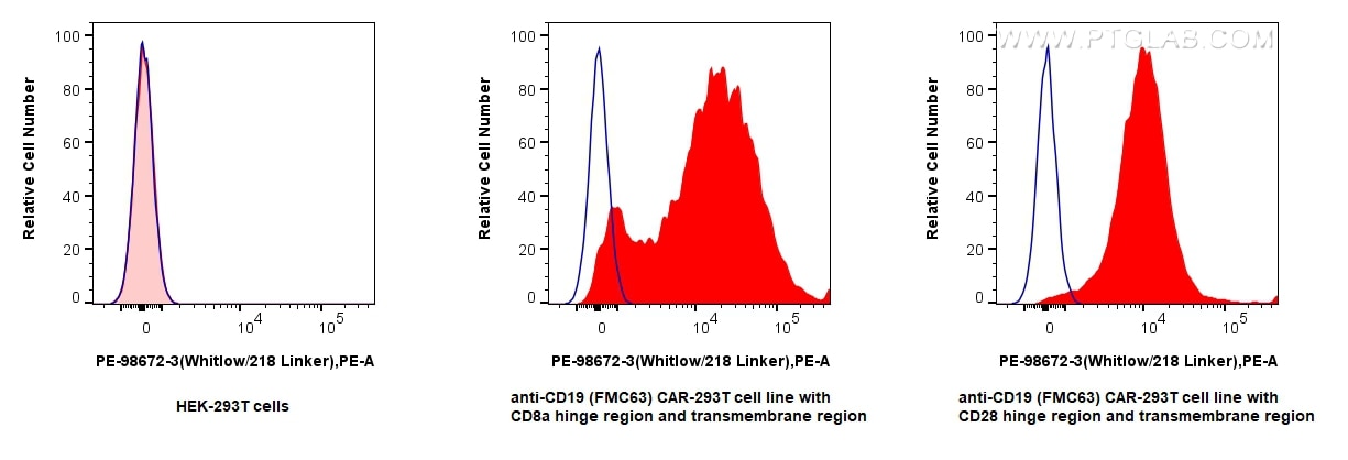 1x10^6 HEK-293T cells or anti-CD19 (FMC63) CAR with CD28 or CD8a hinge region and transmembrane region transfected HEK-293T cells were surface stained with 0.1 ug PE Anti-Whitlow/218 Linker Rabbit RecAb (PE-98672-3, Clone: 252007G1) (red) or PE Rabbit IgG Isotype Control RecAb (PE-98136, Clone: 240953C9) (blue). Cells were not fixed. Flow cytometry (FC) experiment of Transfected HEK-293T cells using PE Anti-Whitlow/218 Linker Rabbit Recombinant Anti (PE-98672-3)