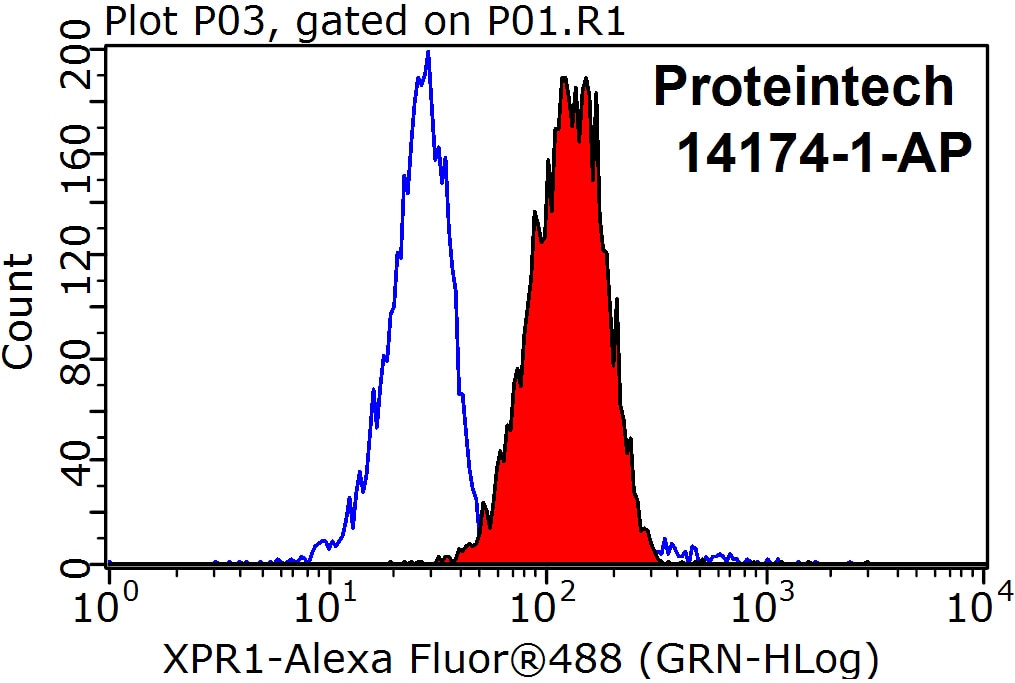 Flow cytometry (FC) experiment of Jurkat cells using XPR1 Polyclonal antibody (14174-1-AP)