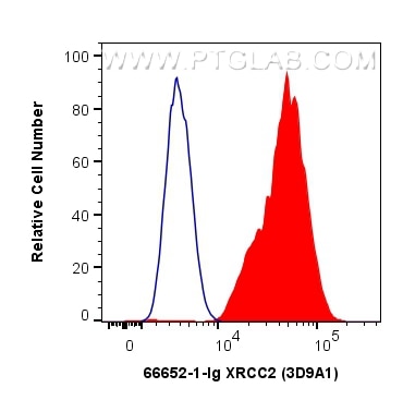 Flow cytometry (FC) experiment of HepG2 cells using XRCC2 Monoclonal antibody (66652-1-Ig)