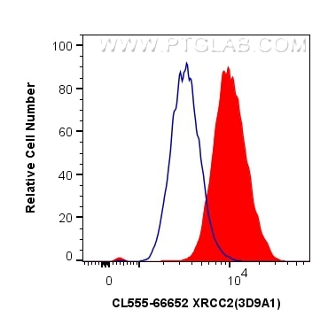 Flow cytometry (FC) experiment of HepG2 cells using CoraLite®555-conjugated XRCC2 Monoclonal antibody (CL555-66652)