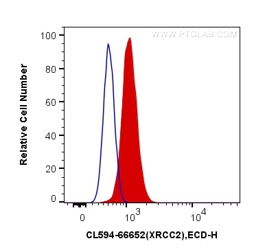 Flow cytometry (FC) experiment of HepG2 cells using CoraLite®594-conjugated XRCC2 Monoclonal antibody (CL594-66652)