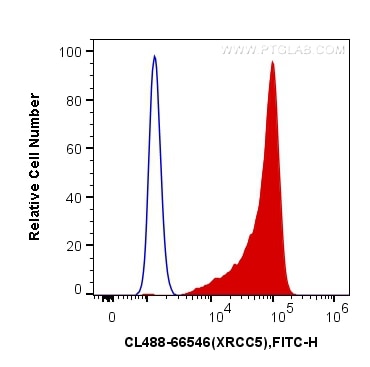 FC experiment of HeLa using CL488-66546